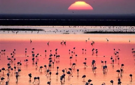Donana National Park: Guided Day Tour from Seville