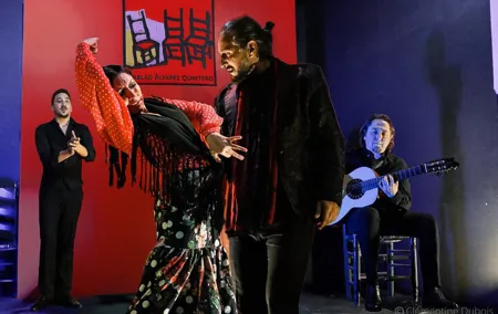 Flamenco Show at Tablao Alvarez Quintero in Seville