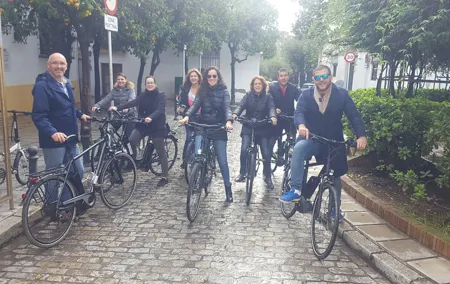 Guided Bike Tour of Seville with a Certified Guide