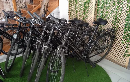 Full Day Bike Rental in Seville