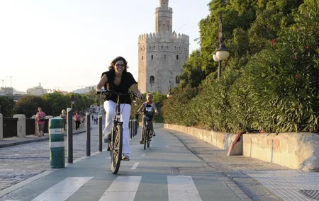 Seville Electric Bike Private Tour