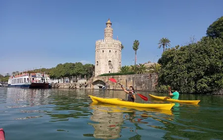 Kayak Guided Tours