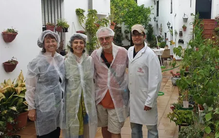 Iberian Ham Tasting Tour from Seville with Aracena Cave