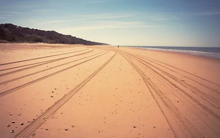 Doñana Natural Park Full-Day Tour from Seville