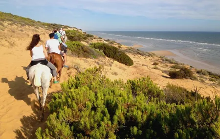 Donana National Park Horse or 4x4 Riding Day Trip