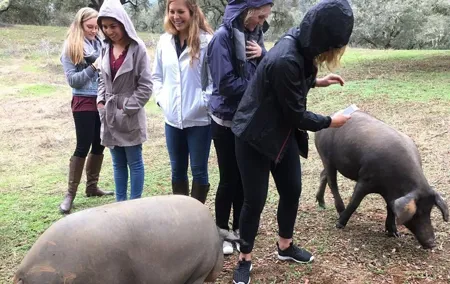 From Seville: Pig Farm private day tour and old villages visit