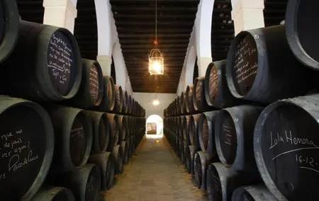 Jerez Winery Tour and wine tasting