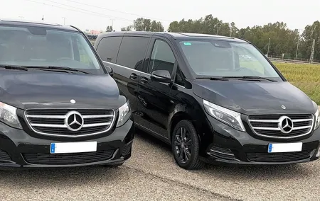 Roundtrip transfer by minivan from Seville to Granada