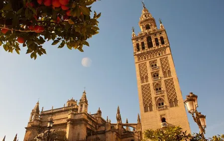 The Real Gems of Seville. Private Tour