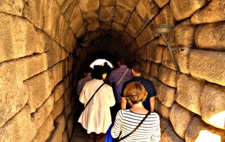 From Seville: Merida Private Full Day Tour