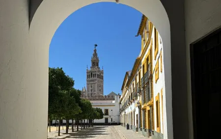 Cathedral Tour of Seville Giralda and Barrio Santa Cruz All in One