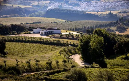 Ecological Tour of the Winery in Ronda with Tasting