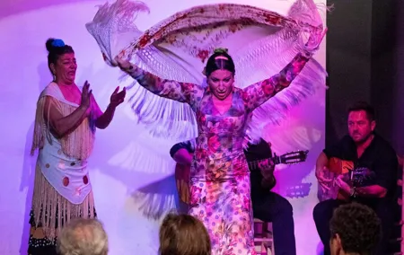 Flamenco show at the foot of the Giralda in Seville