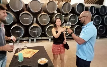 Wine tourism, visit to a traditional winery and wine tasting