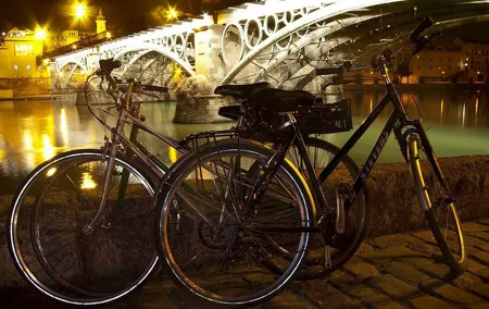 Highlights Bike Tour in Seville