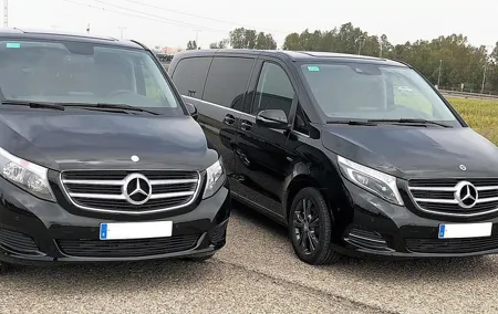One-way transfer by minivan from Seville Airport to hotel in Seville Center