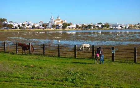 Doñana National Park in 4x4 and El Rocío