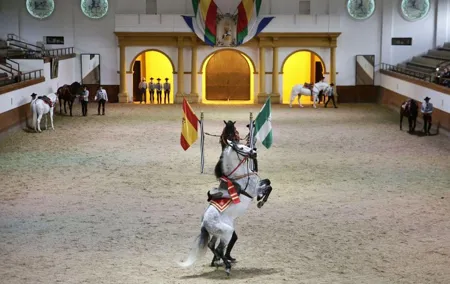 Equestrian Show and Winery in Jerez from Seville