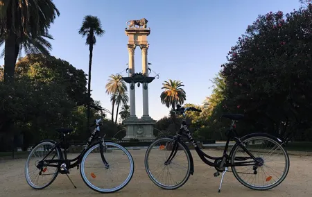 Bike rental day