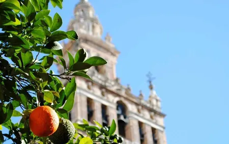 Seville Easy. 2 Tours : Historic and Jewish Quarter + Triana