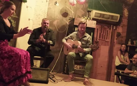 Flamenco show with wine tasting and tapas at Bodega La Jara