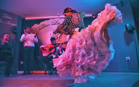 Flamenco, Tapas and Wine Tour in Sevilla Spain