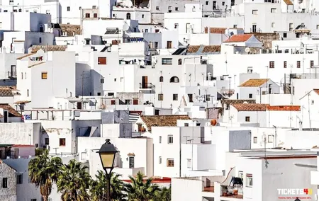 Private day trip to Arcos, Medina Sidonia and Vejer de la Frontera