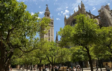 Seville, walk through the heart of the city