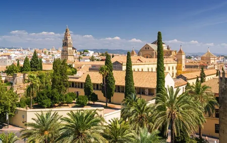 Seville’s Royal & Gothic Splendors: Skip-The-Line Private Tour