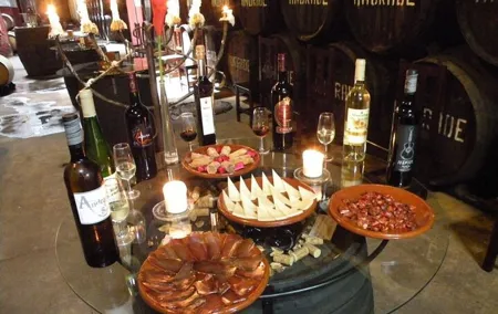 Wine Tasting in an Andalusian Winery