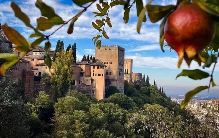 Granada Alhambra Private Tour From Seville
