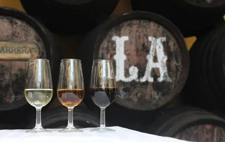 Wine Tour to Sanlucar de Barrameda from Seville with Optional Horse Riding