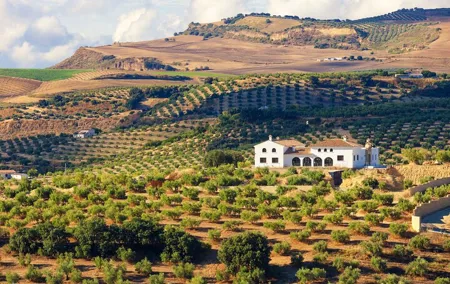 Full-Day Private Jerez & Cadiz Wine Tour Experience from Seville