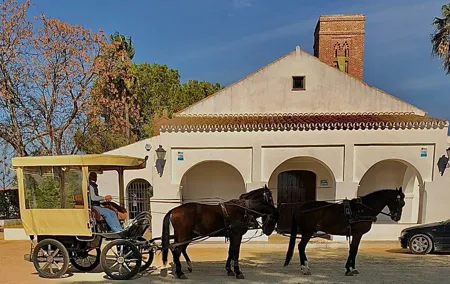 Rutas en carruajes por los cortijos mas emblemáticos del aljarafe