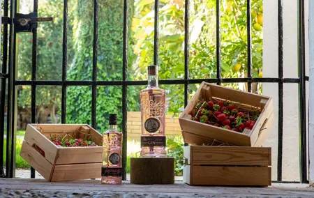 Guided Spanish Tour with 3 GIN Tasting