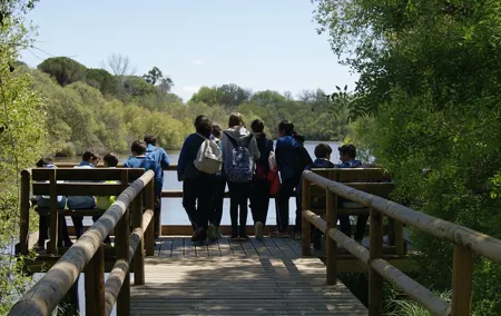 Private Doñana National Park 4x4
