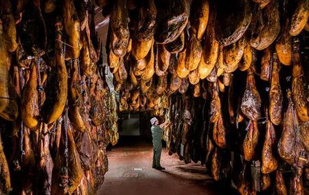 Tour through the Iberian ham drying room and Seville - pick up at the Hotel