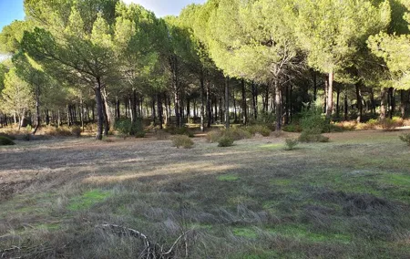 Self-guided Bike Tour around Doñana from Seville