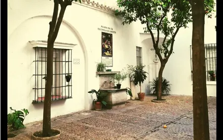 Alcazar, Cathedral And Santa Cruz Private Tour