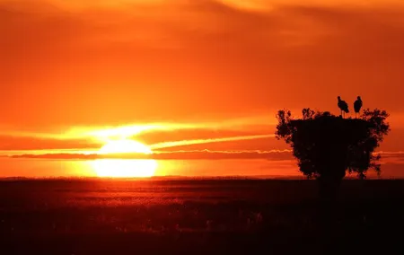 6 hrs Private Tour of Northern Doñana