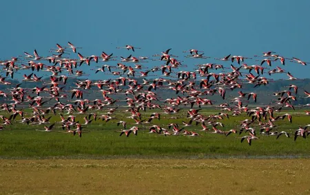 A Day Through the Doñana National Park and the Village of Rocio