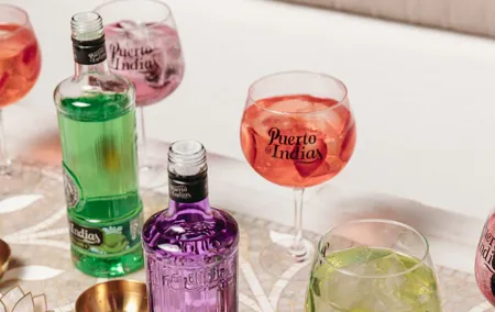 Guided Tour in Spanish with Tasting of 5 GINs and a Gin & Tonic