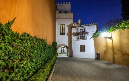 Flamenco show and night route through the Jewish quarter of Seville.