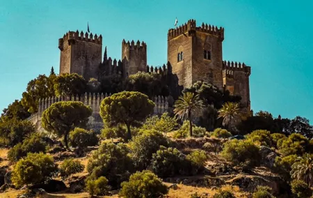 Guided visit to Córdoba and Almodóvar Castle