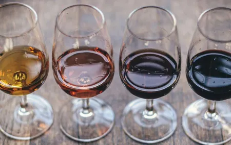 Wine Tasting in the Center of Seville with Pairing