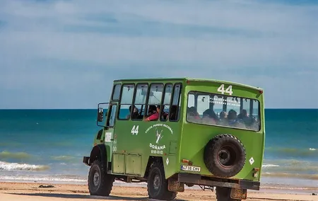 Doñana 4x4 and El Rocío Tour