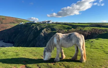 Private Day Tour of Gower's Cliffs & Beaches from Cardiff