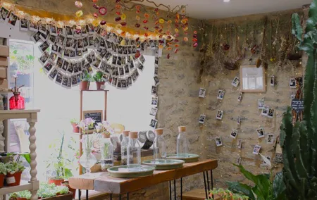 Terrarium Making Experience in Cirencester