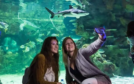 SEA LIFE Brighton Admission Ticket