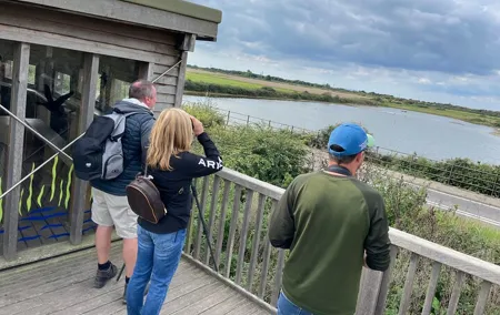 Sussex Birdwatching Private Guided Day Tour